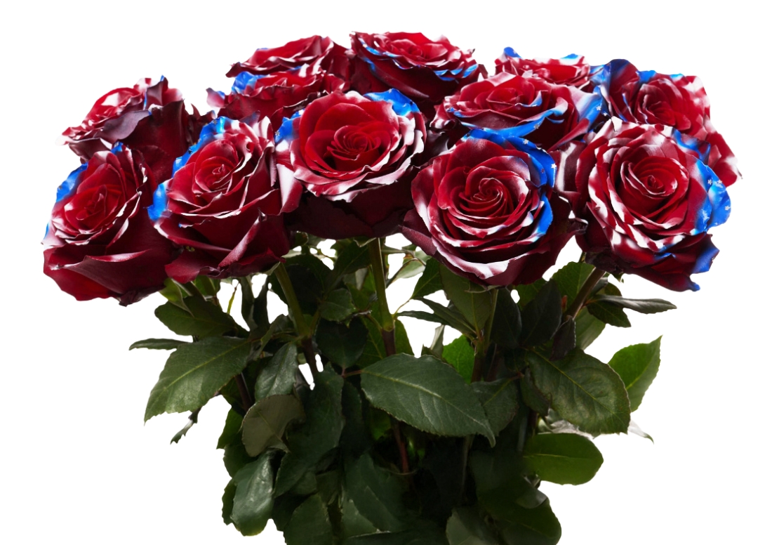 American Flag bunch1