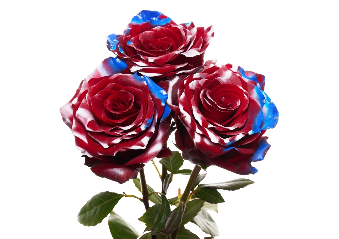 American Flag stems1