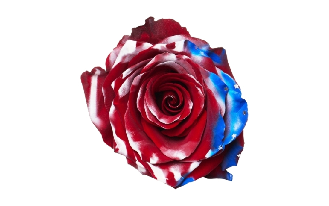 American Flag bunch1