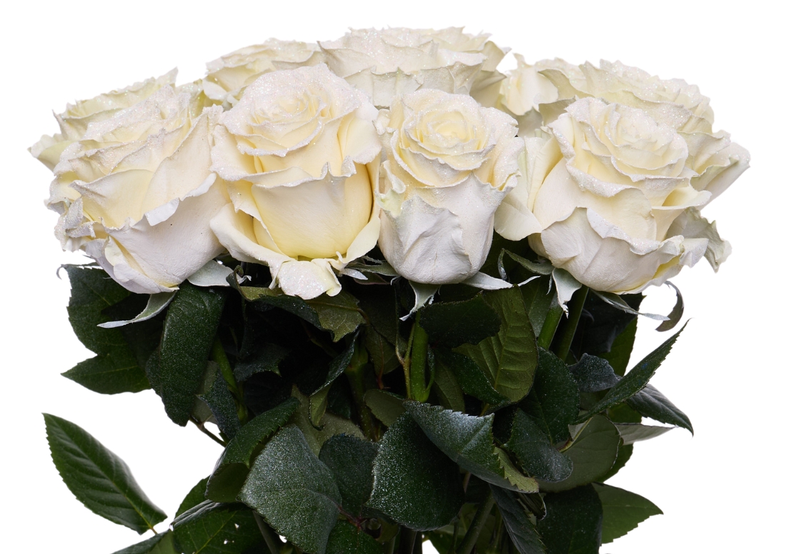 Bright Clouds bunch1