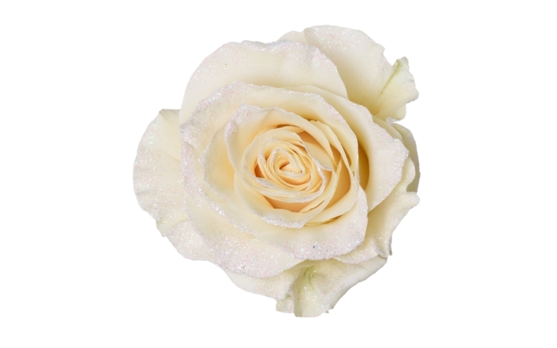 Bright Clouds bunch1