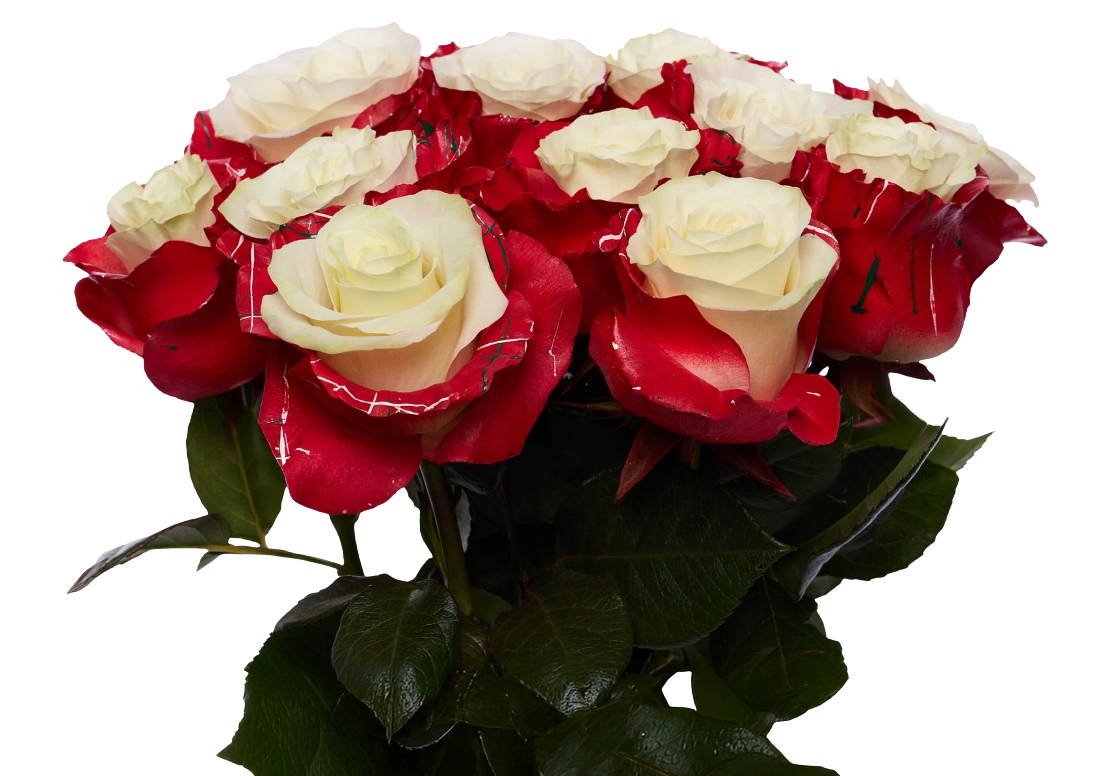 Christmas Edge 2 bunch1