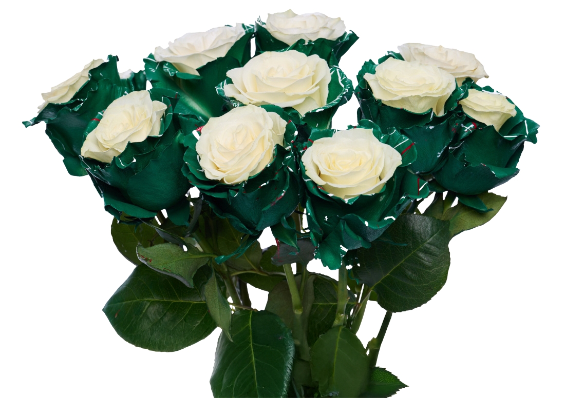 Christmas Edge bunch1