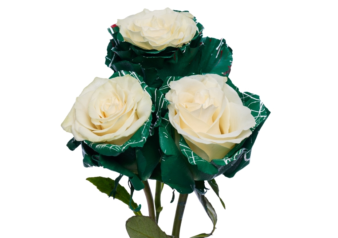 Christmas Edge stems1