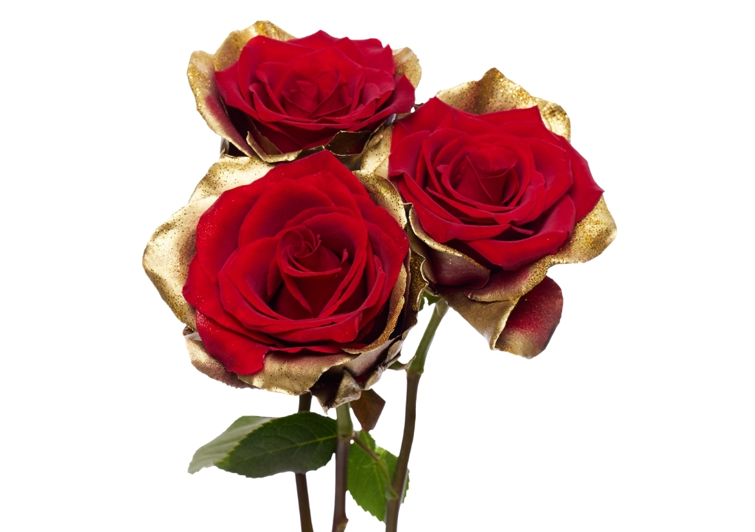 Christmas Gold stems1