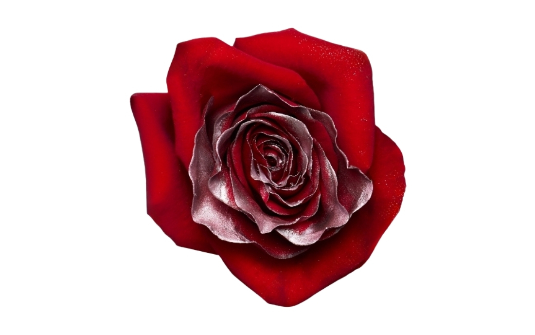 Christmas Silver bunch1