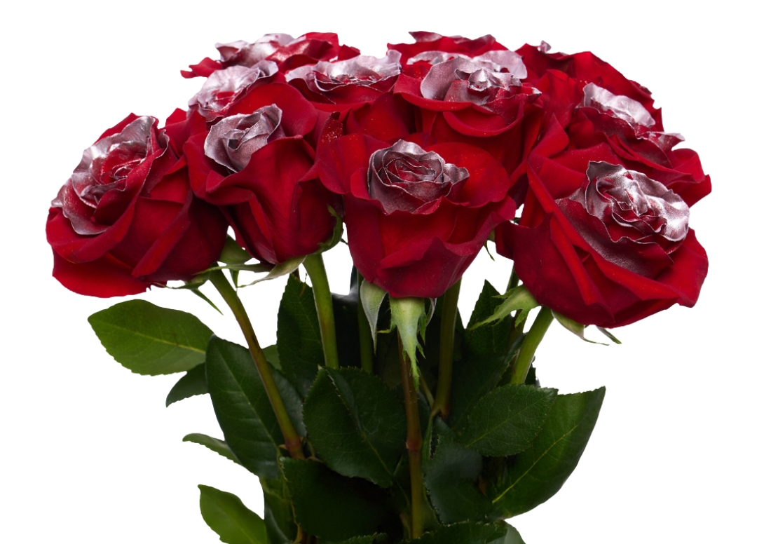 Christmas Silver bunch1