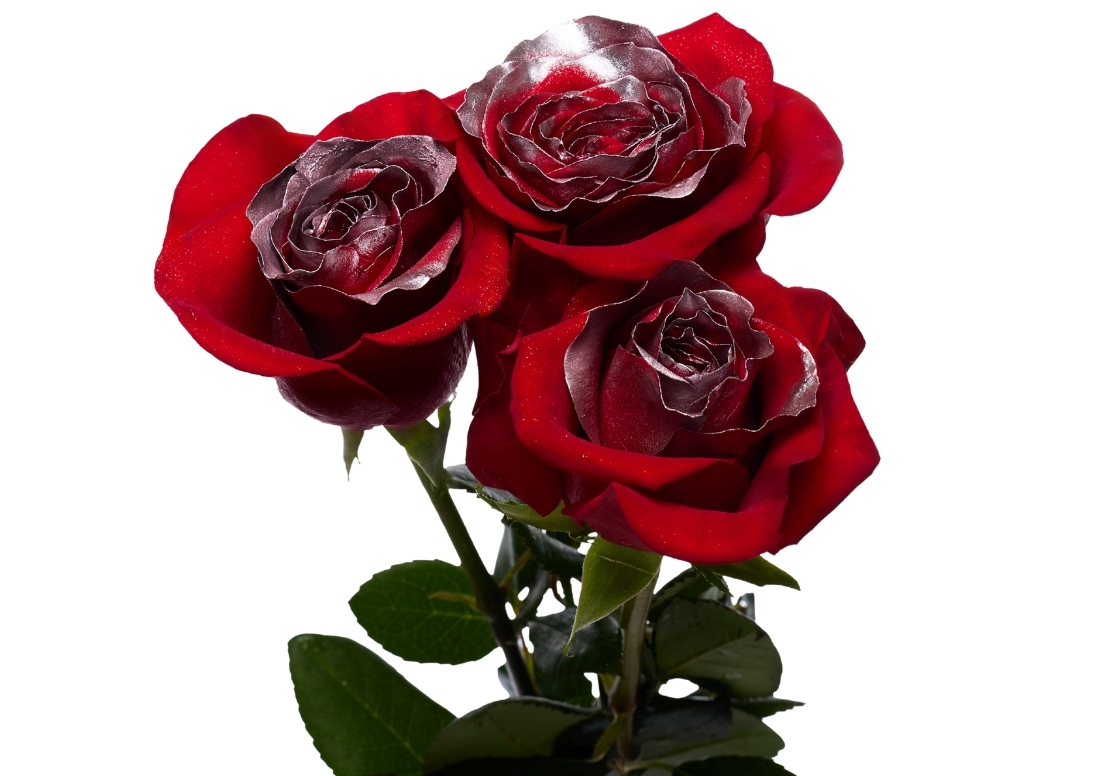 Christmas Silver stems1