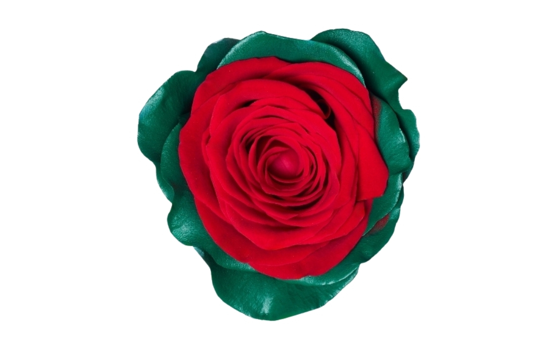 Christmas Time 1 bunch1