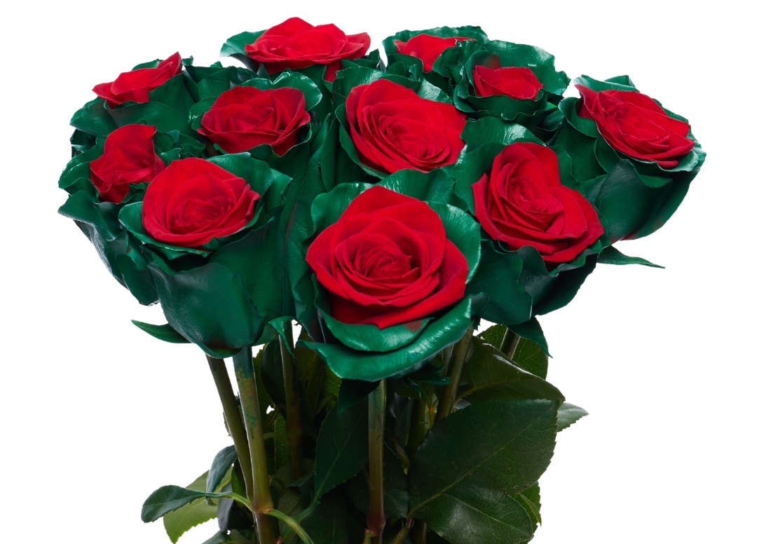 Christmas Time 1 bunch1