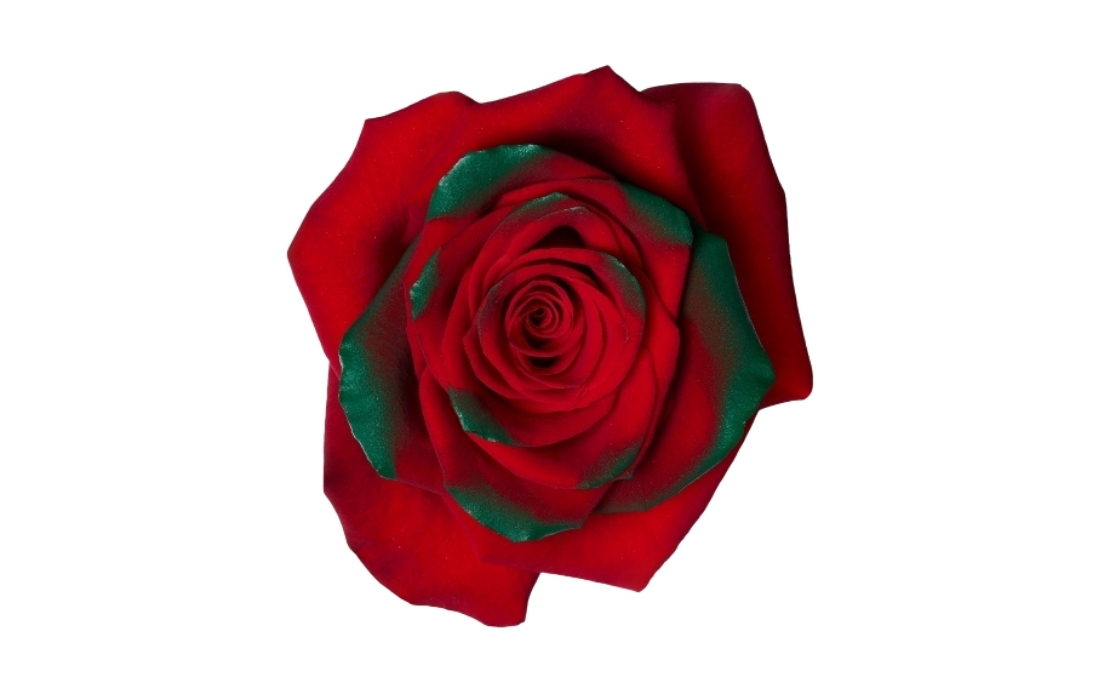 Christmas Time 2 bunch1