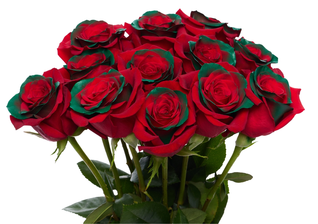 Christmas Time 2 bunch1