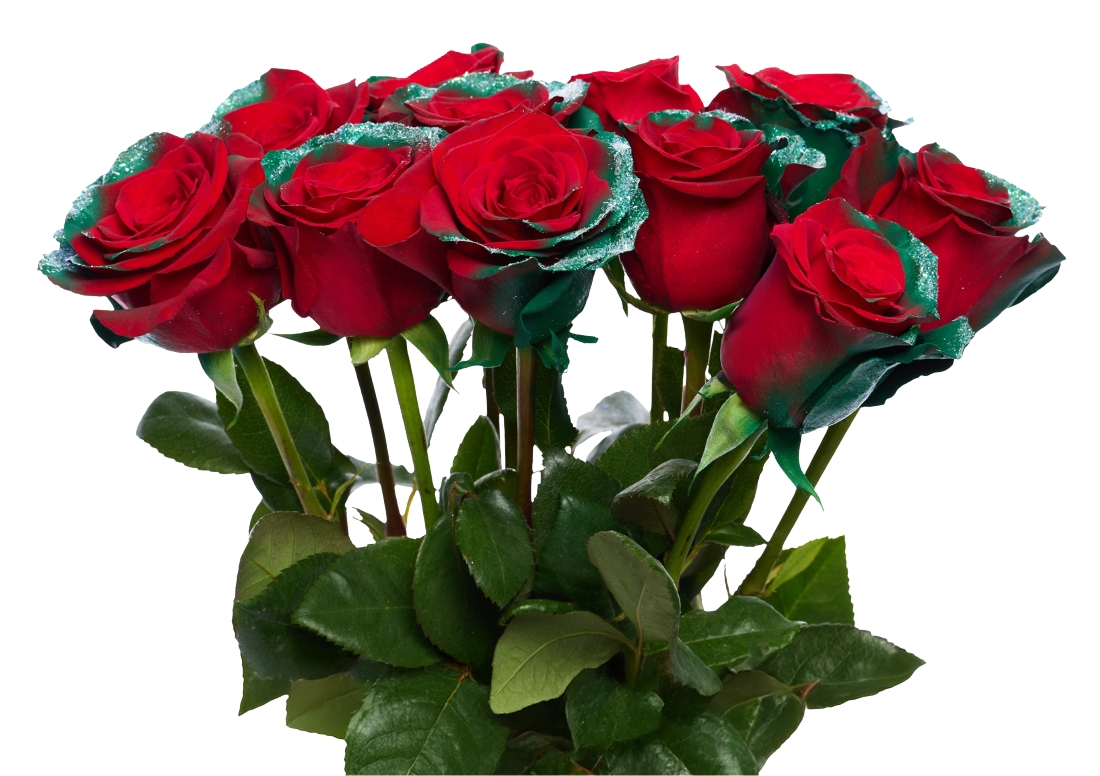 Christmas Wreath bunch1