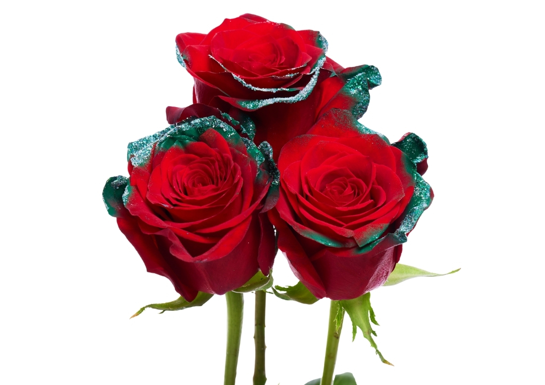 Christmas Wreath stems1