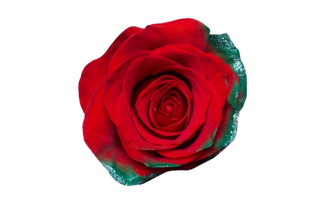 Christmas Wreath bunch1