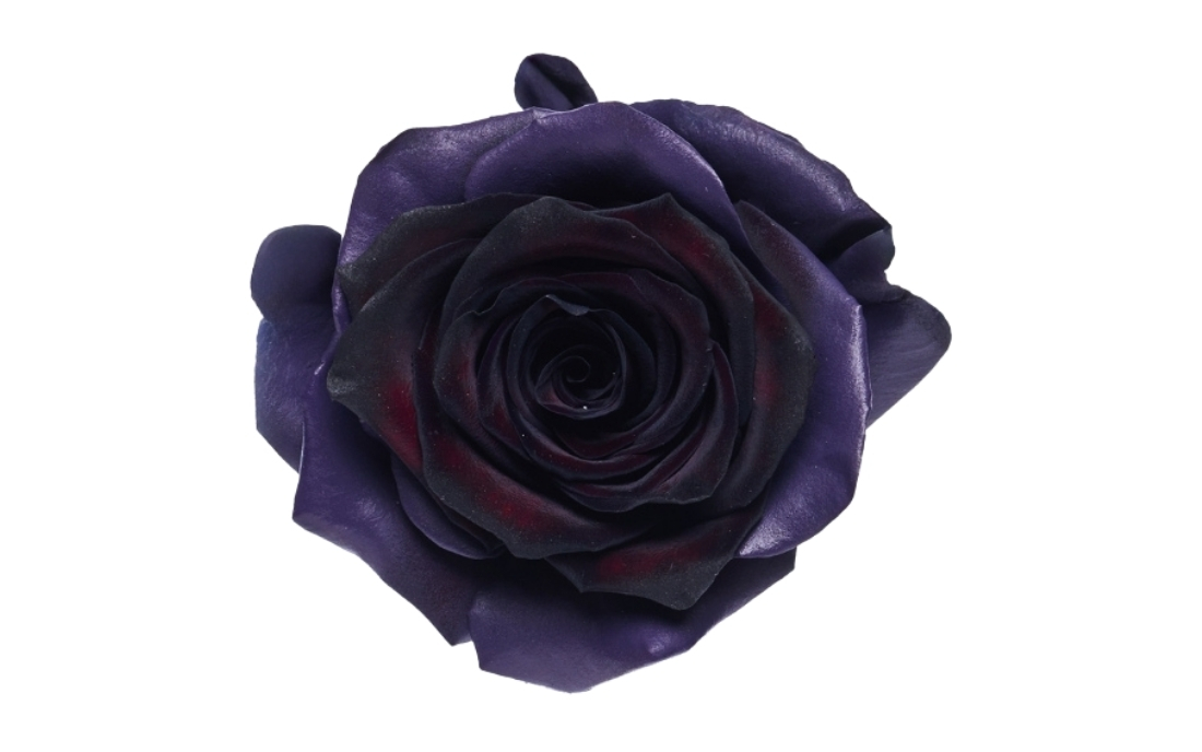 Dark Amethyst bunch2