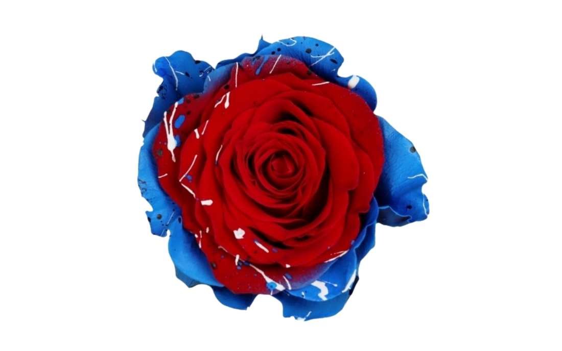 Patriotic Confetti bunch1