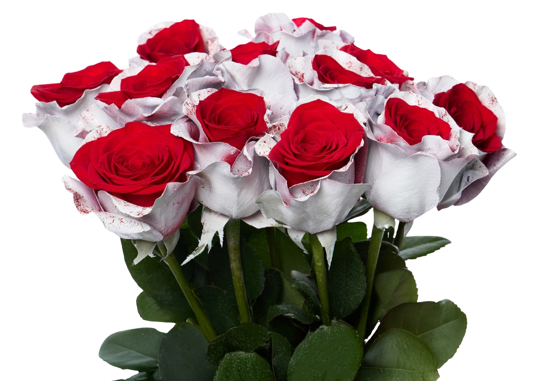 Frosting Flake bunch1