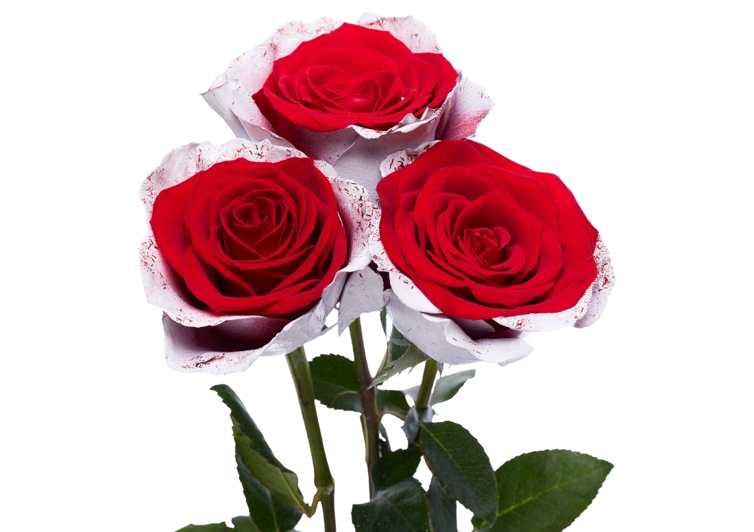 Frosting Flake stems1