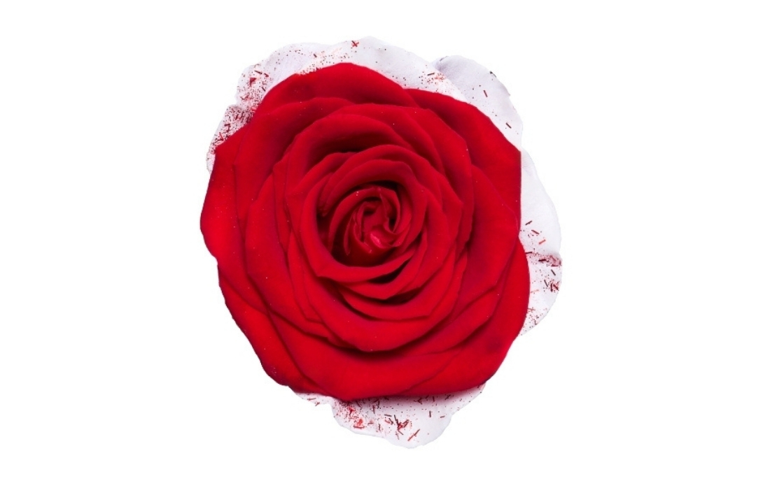 Frosting Flake bunch1