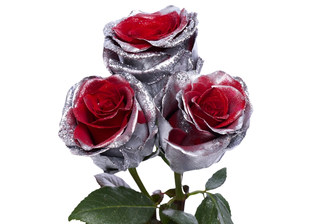 Frosting Silver stems1