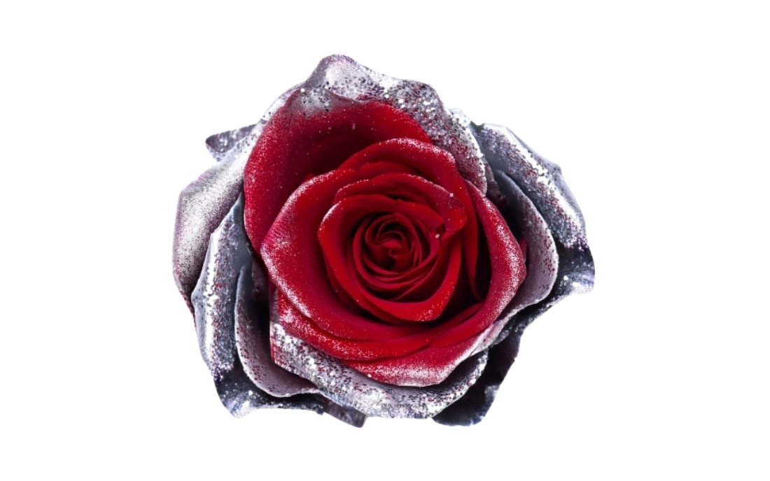 Frosting Silver bunch1