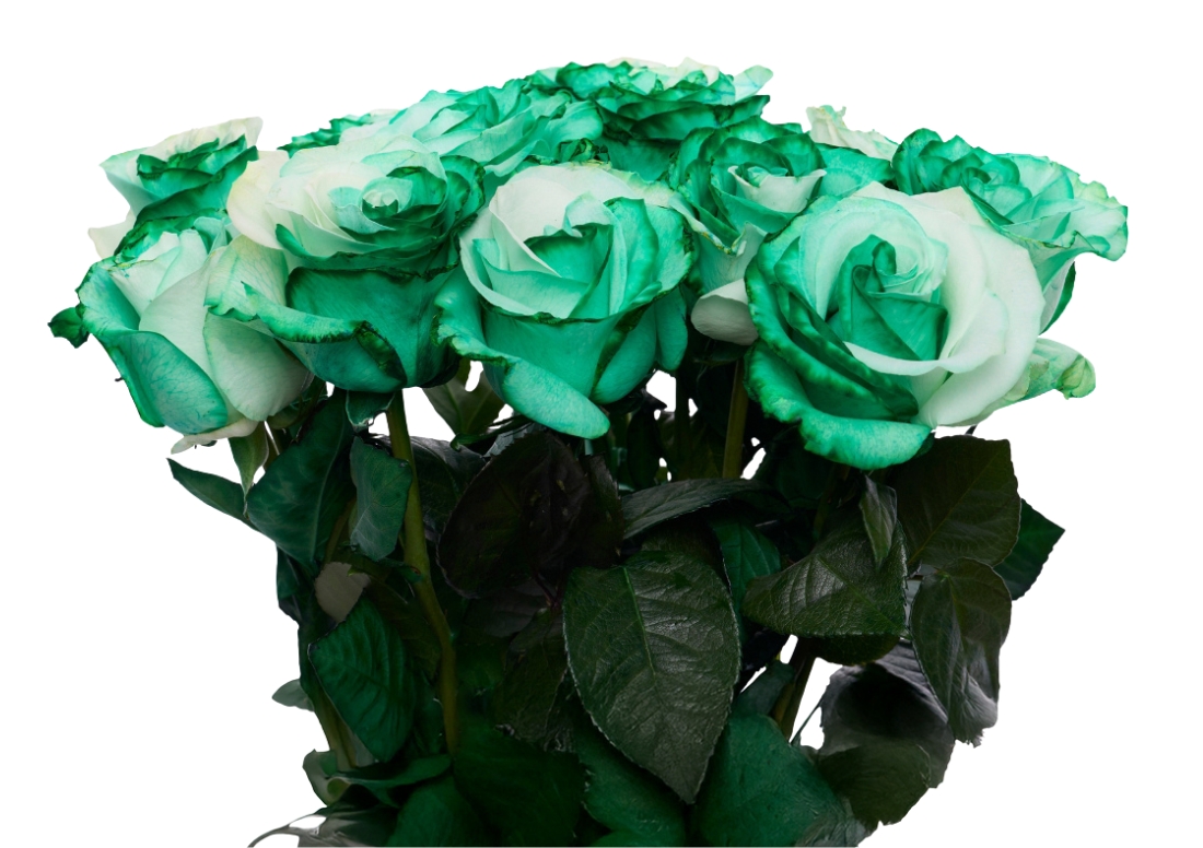 Green and White bunch1