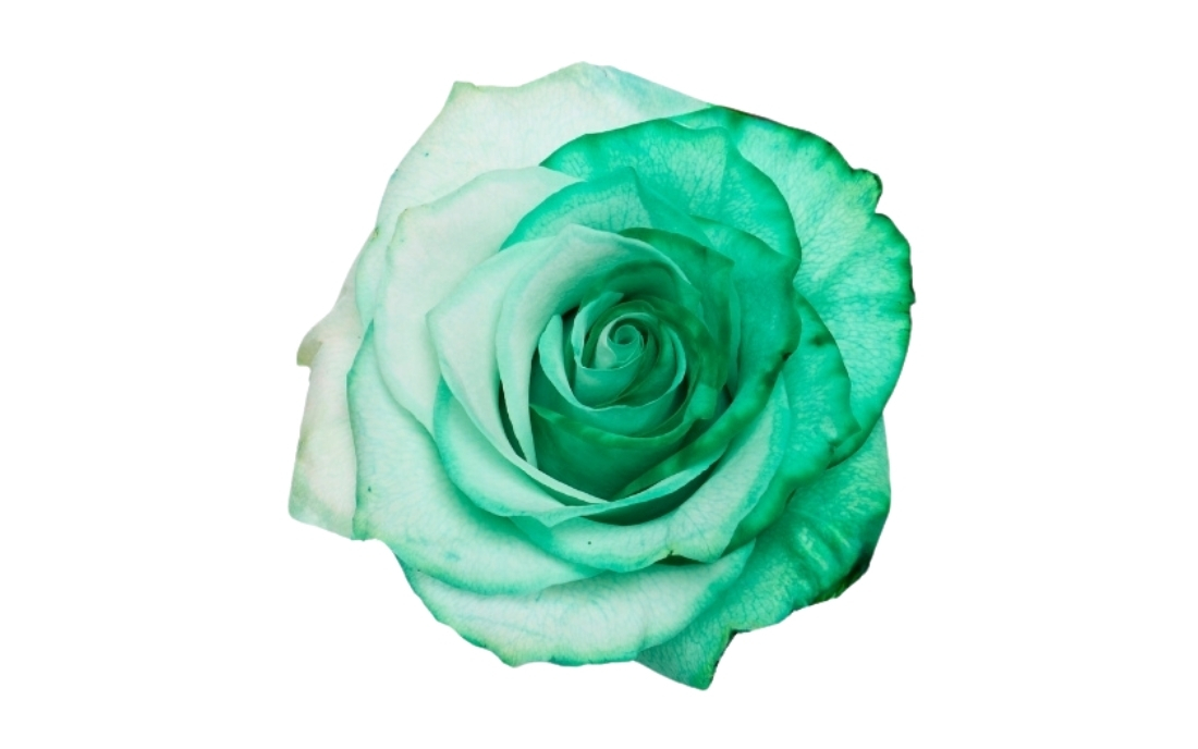 Green and White bunch1