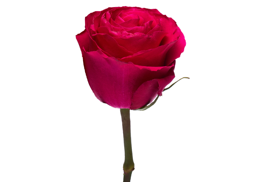 HotSpot_1-1-1100x776