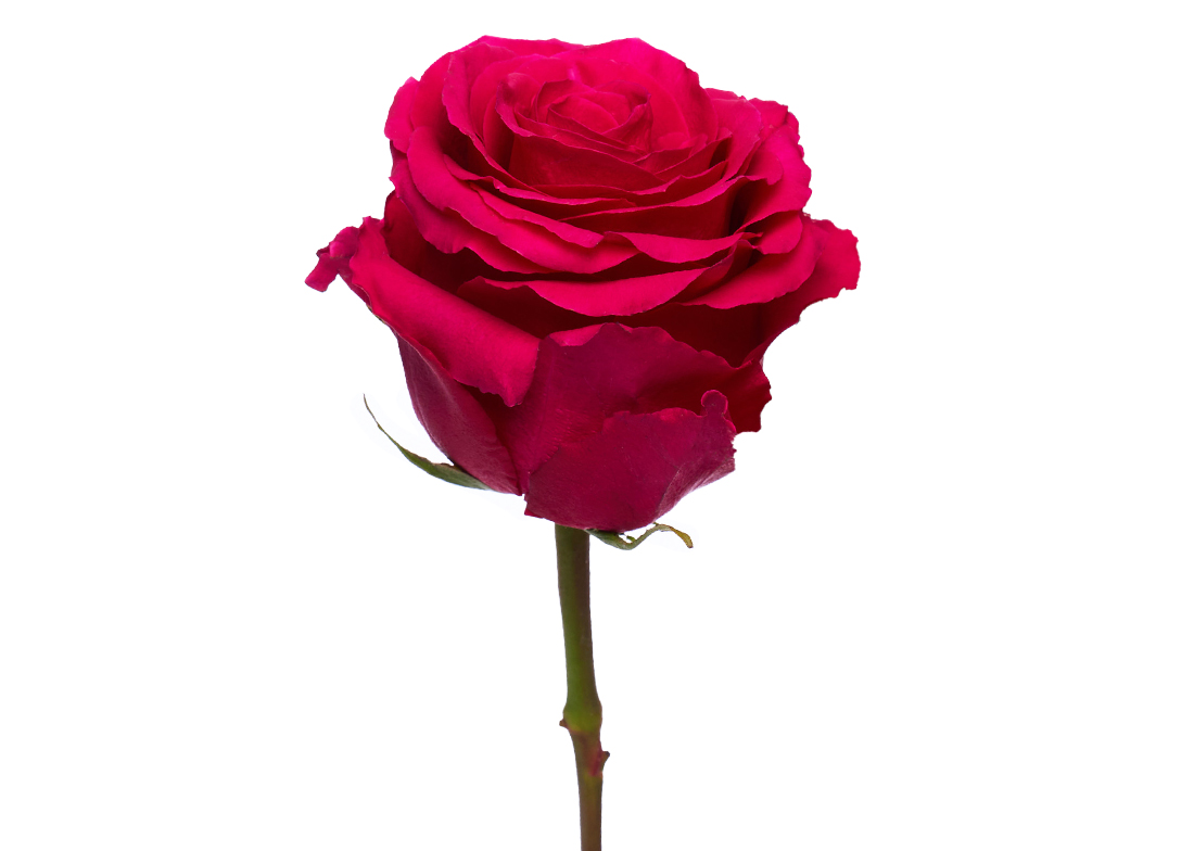 HotSpot_2-2-1100x776