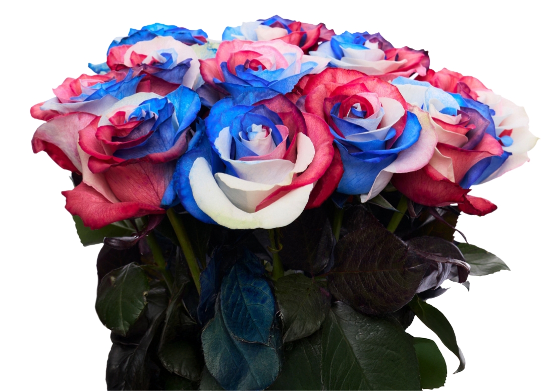 Independence Day bunch1