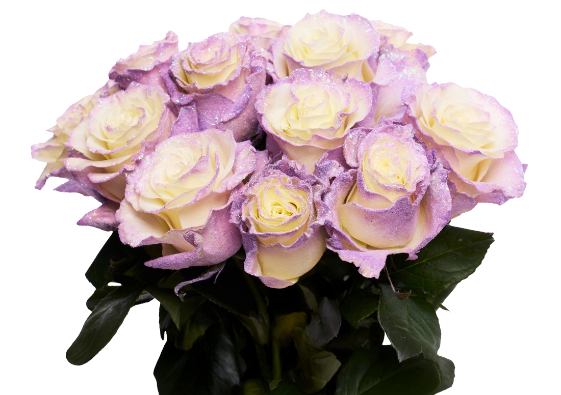 Lavender Diamond bunch1