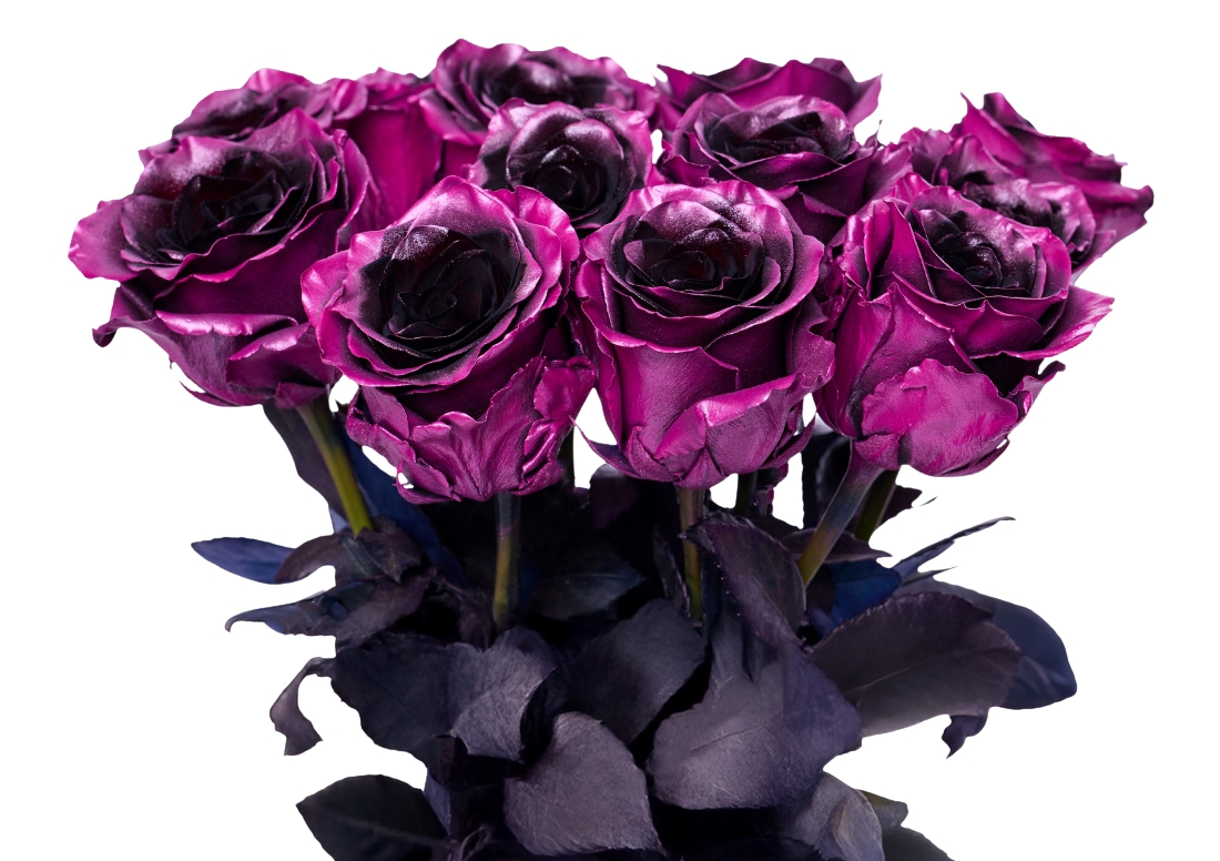 Metallic Amethyst bunch1