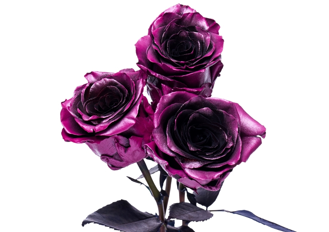 Metallic Amethyst stems1