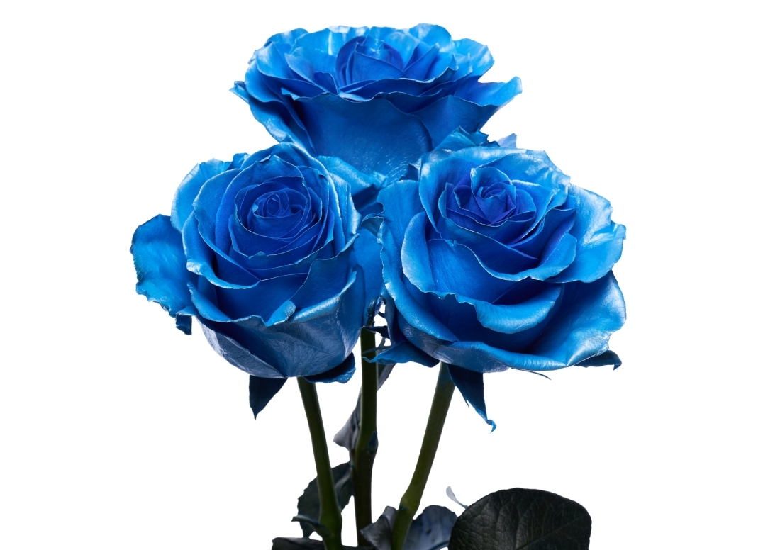 Metallic Light Blue stems