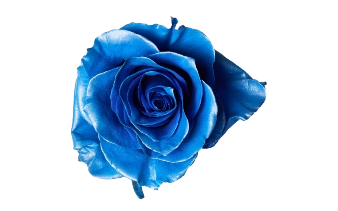 Metallic Light Blue bunch