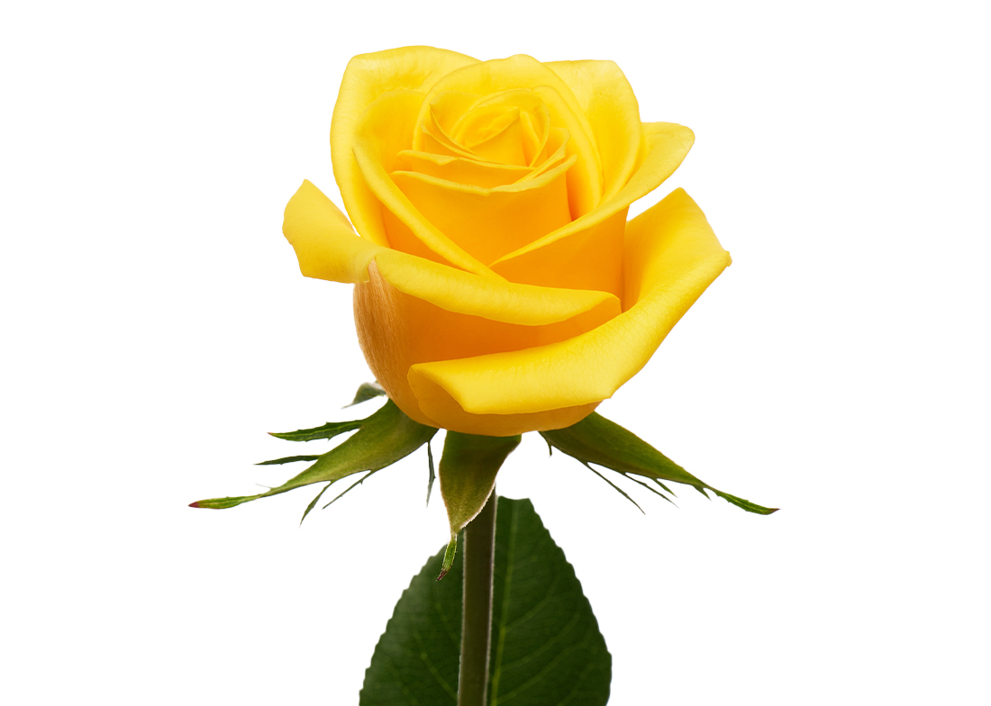 Momentum_2-2-1100x776