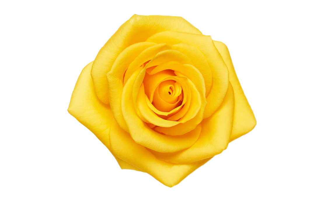 Momentum_2-2-1100x776