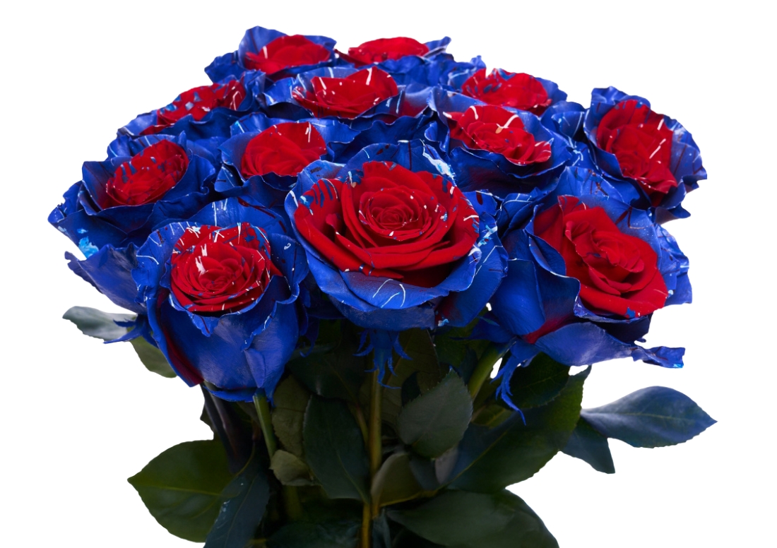 Patriotic Confetti bunch1