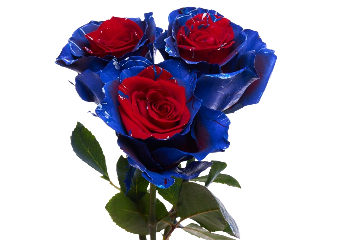 Patriotic Confetti stems1