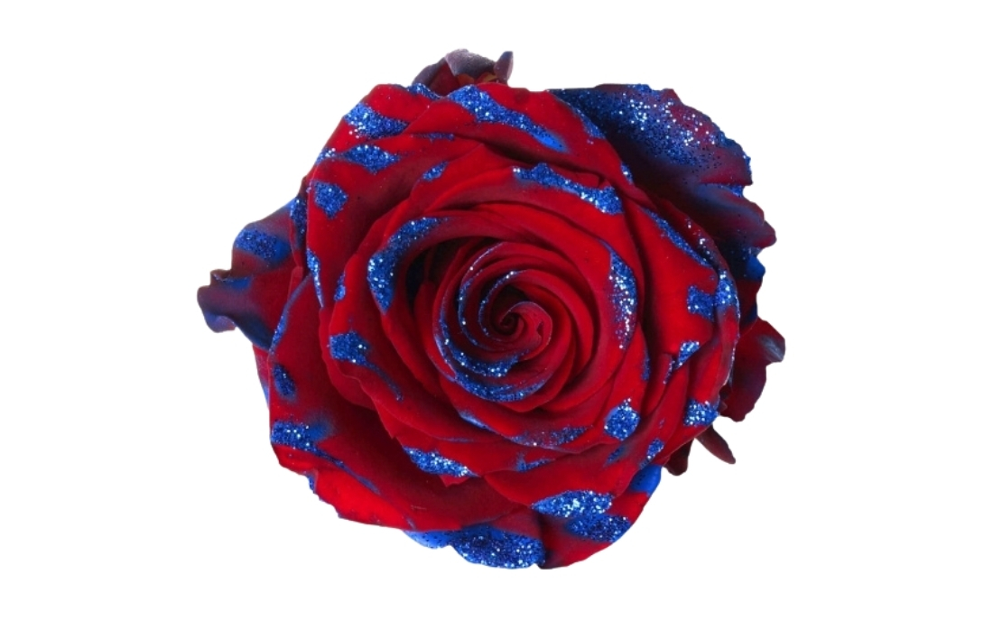 Patriotic Glitter bunch1