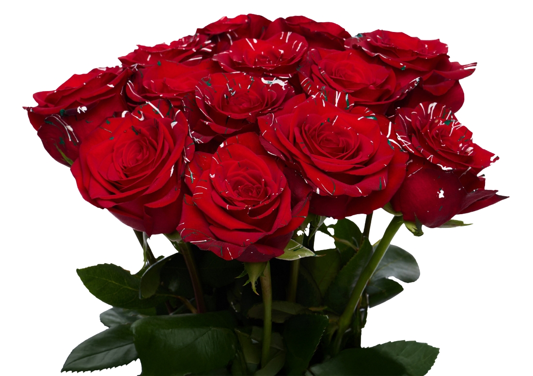 Picasso Christmas 1 bunch1