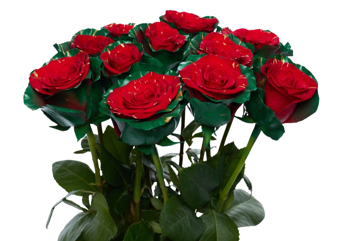 Picasso Christmas 2 bunch1