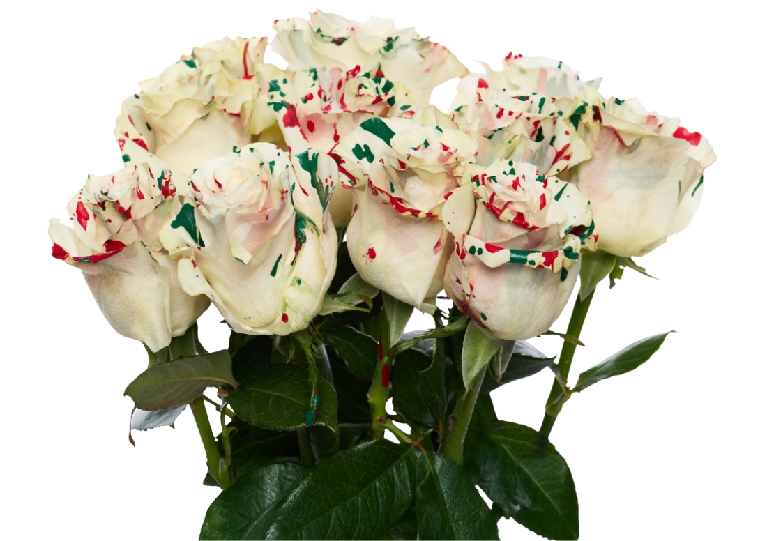 Picasso Christmas 3 bunch1