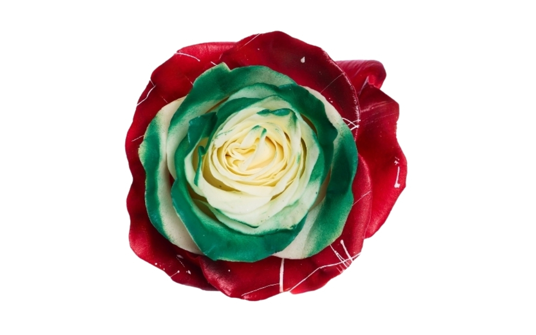 Picasso Christmas 5 bunch1