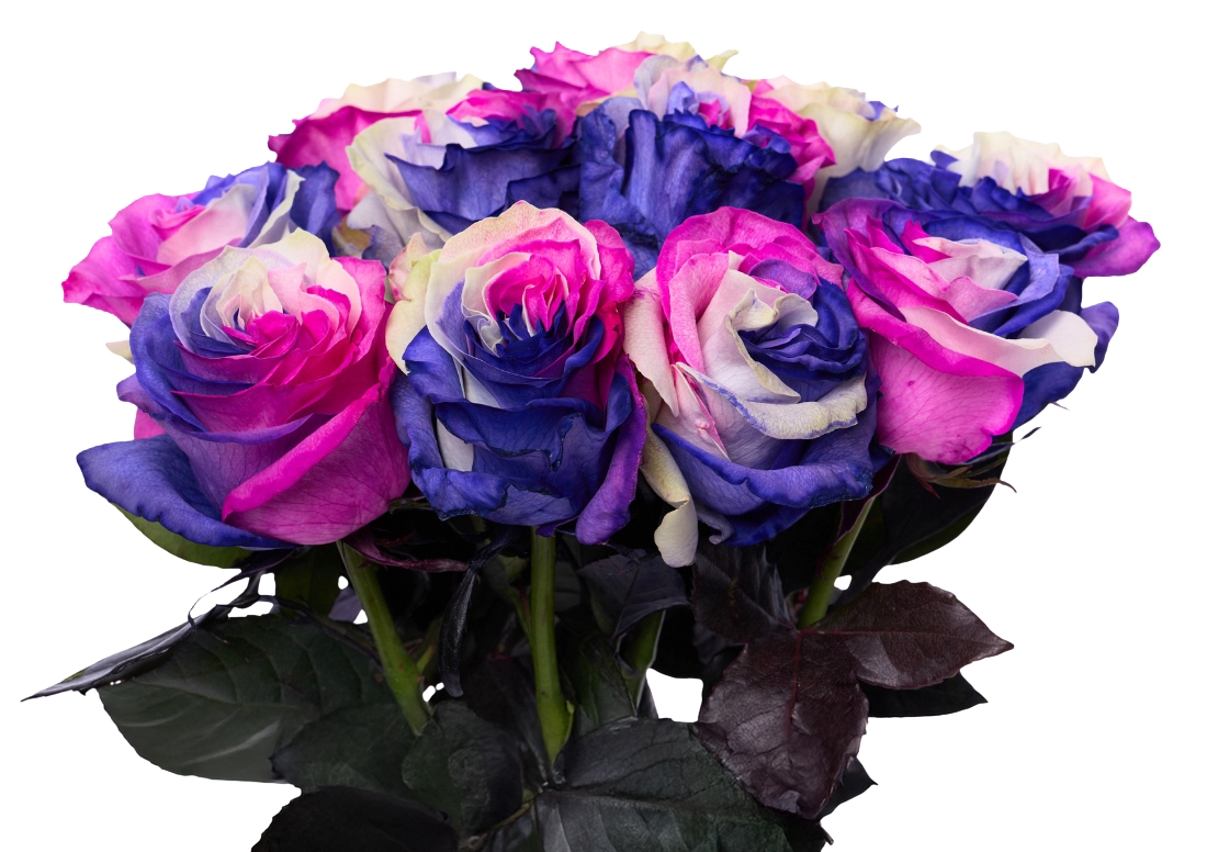 Pink Purple White bunch1