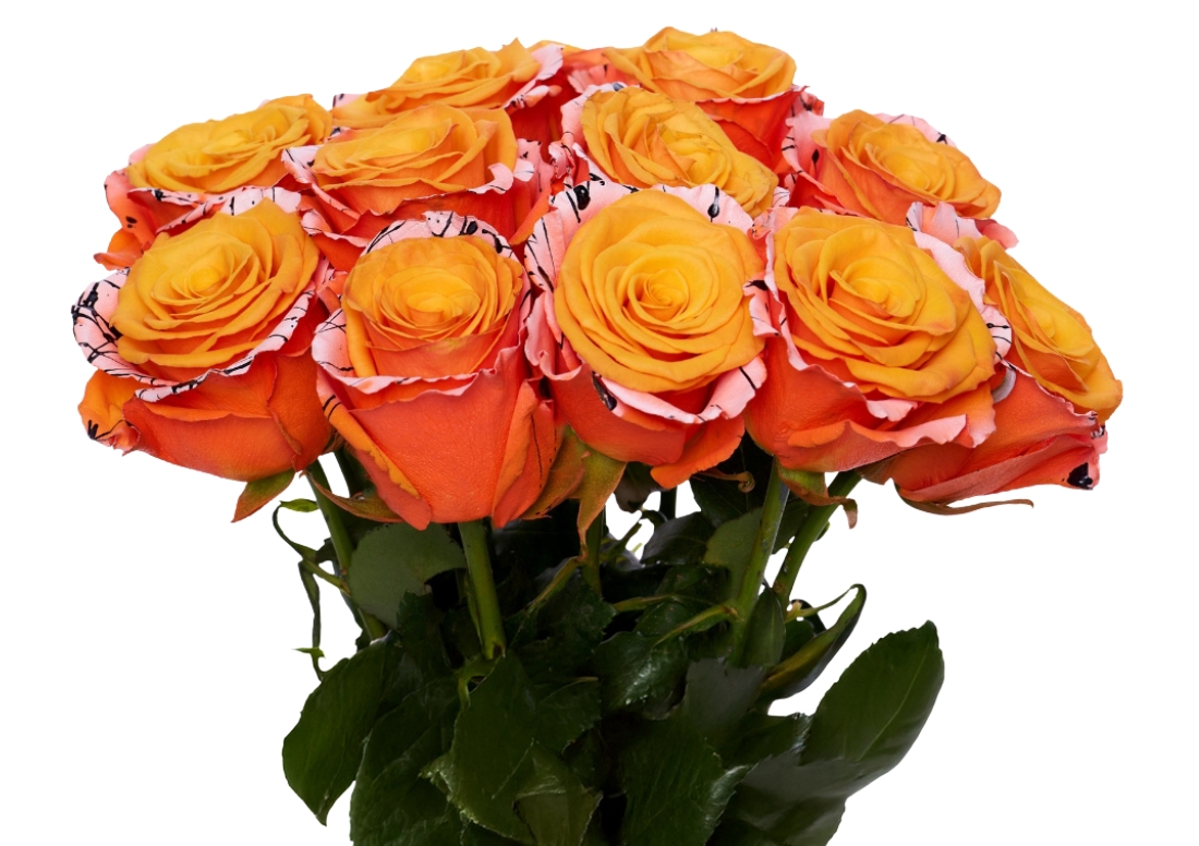 Poisonous Eyeball bunch1