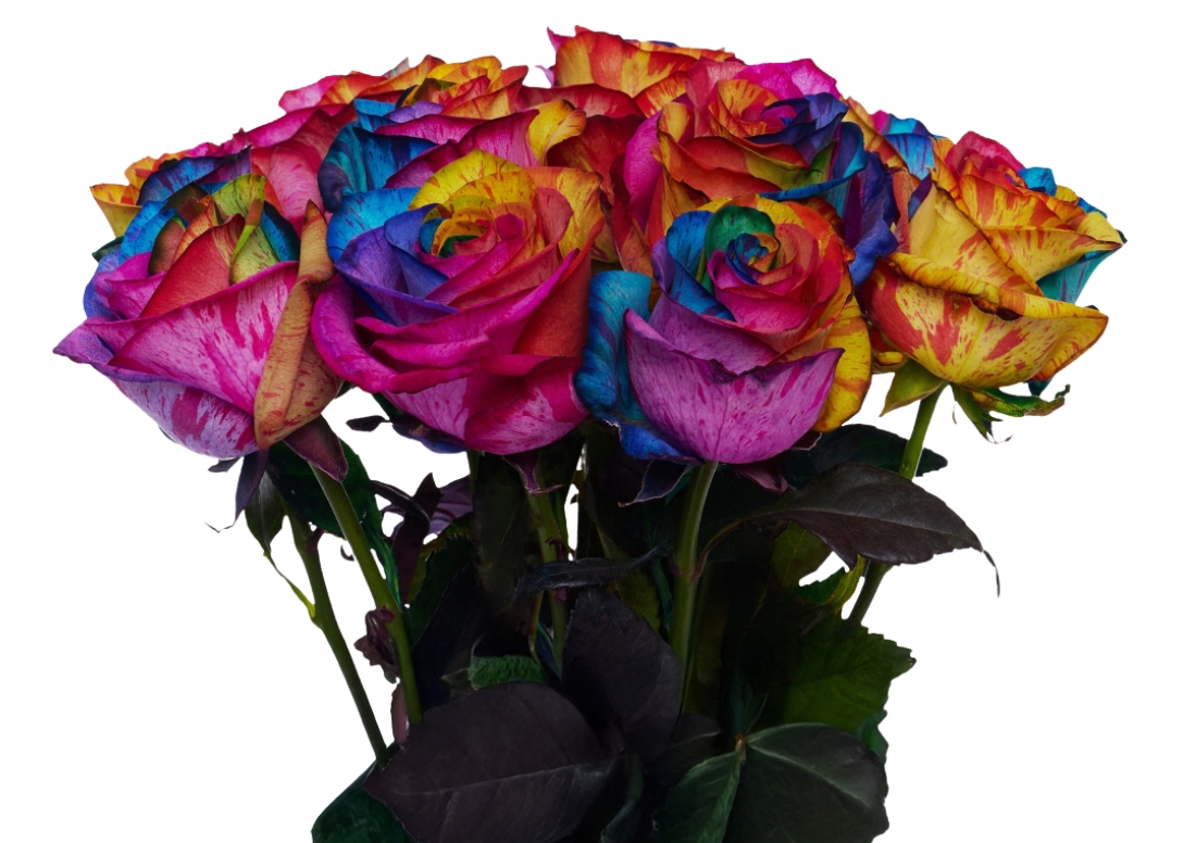 Psychedelic Rainbow bunch1