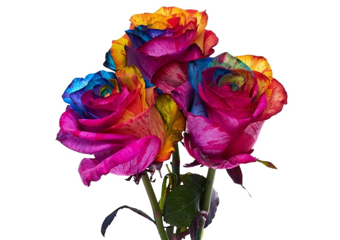 Psychedelic Rainbow stems1