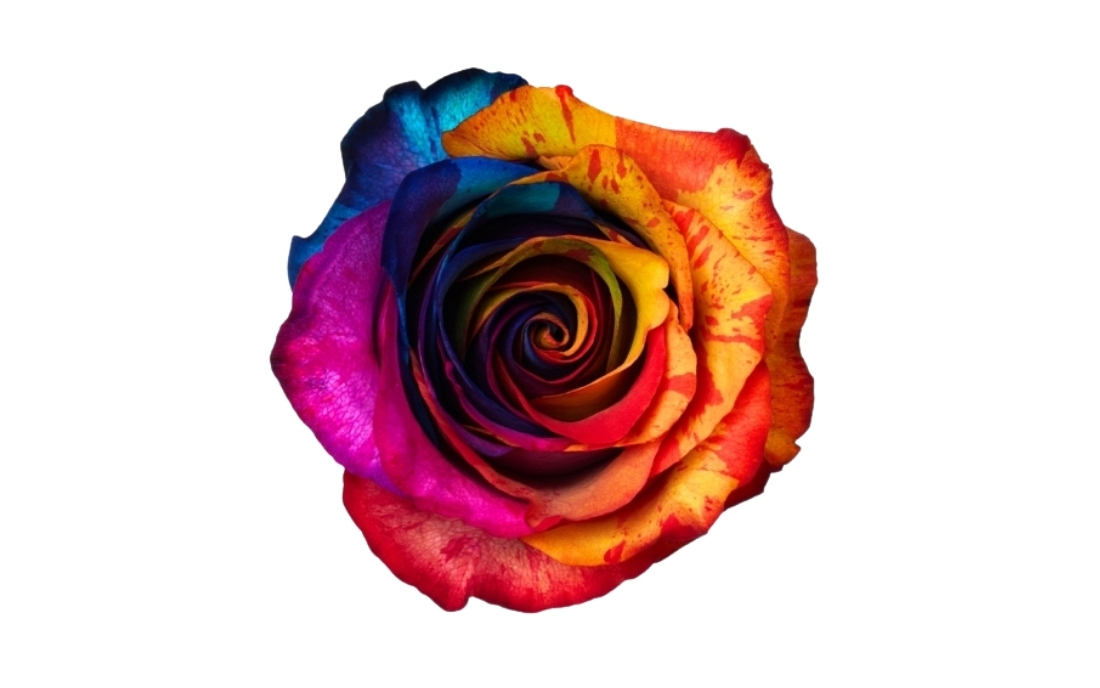 Psychedelic Rainbow bunch1